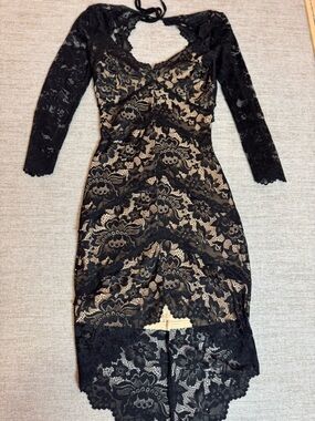 bebe Black Lace Long Sleeve Sheath Dress with Nude Lining